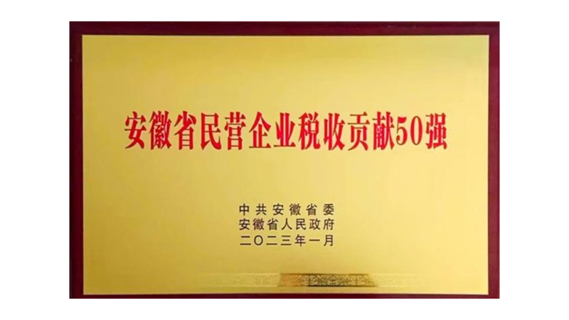 安徽省民營(yíng)企業(yè)稅收貢獻(xiàn)50強(qiáng)