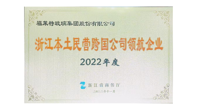 2022年度浙江本土民營(yíng)跨國(guó)公司領(lǐng)航企業(yè)